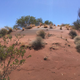 Illustration for article titled AWOL Around Australia... Part 35. The Pilbara. Part 2